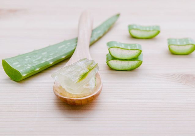 Révélez la Beauté Naturelle : Les Bienfaits de l'Aloe Vera sur les Cheveux