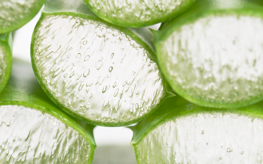 L'efficacité de l'Aloe Vera est-il prouvé scientifiquement ?